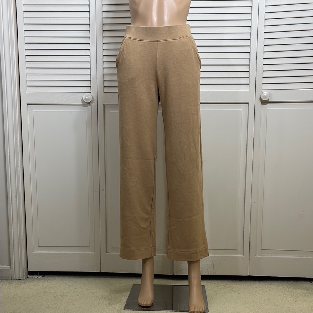 AYR High Hopes Pants in Tan